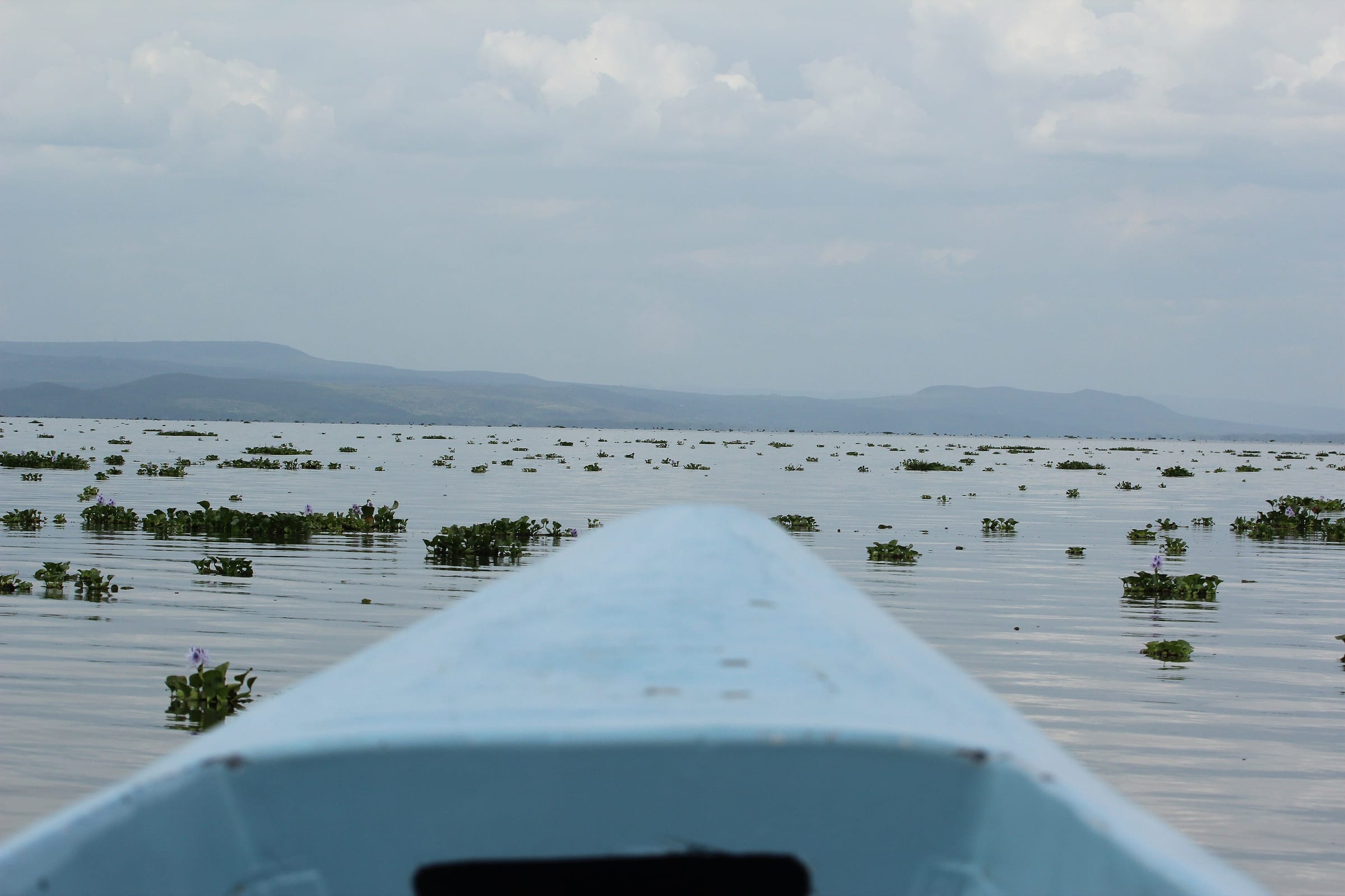Lake Naivasha, Rift Valley