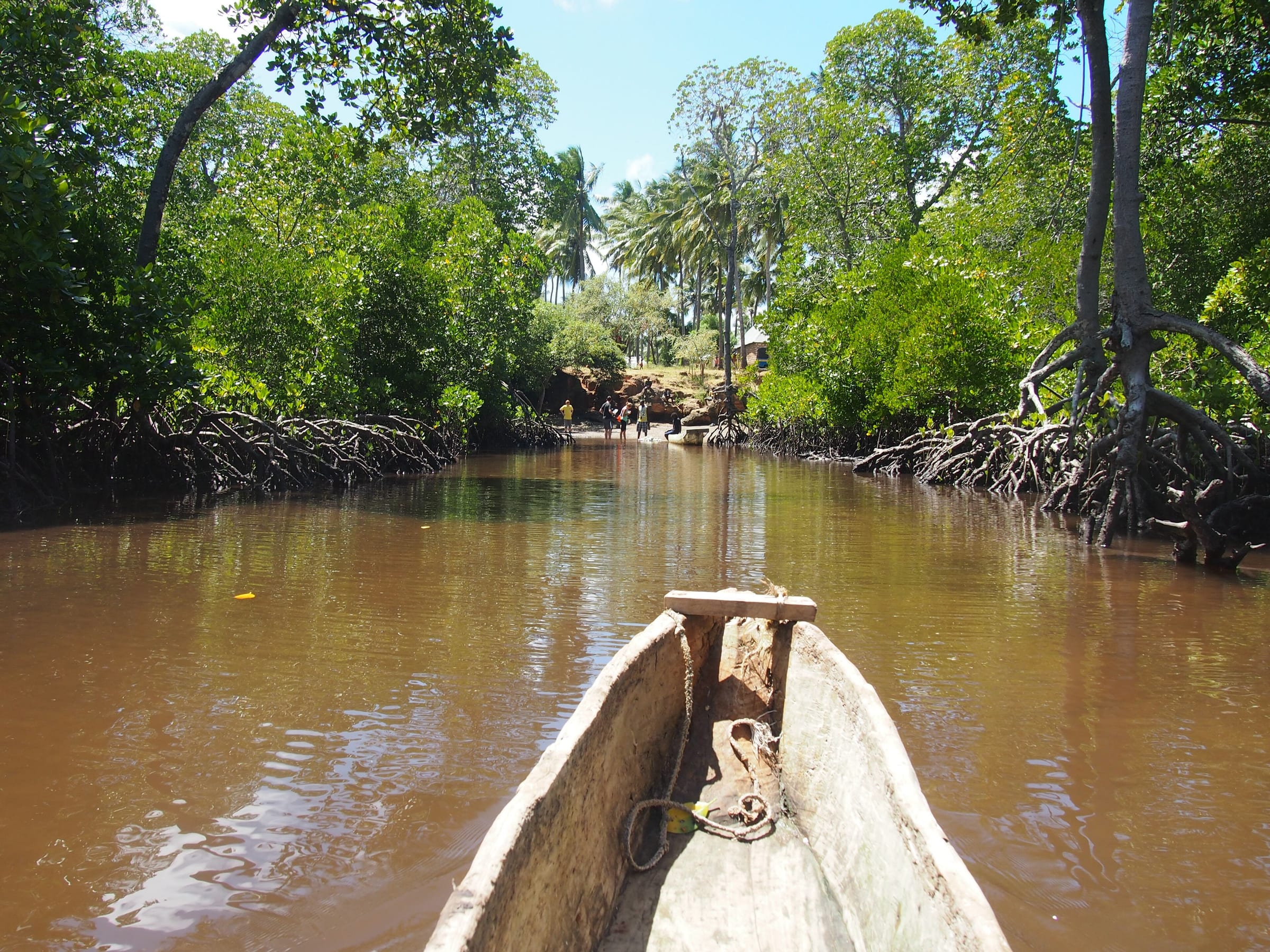 Mida Creek, Coastal