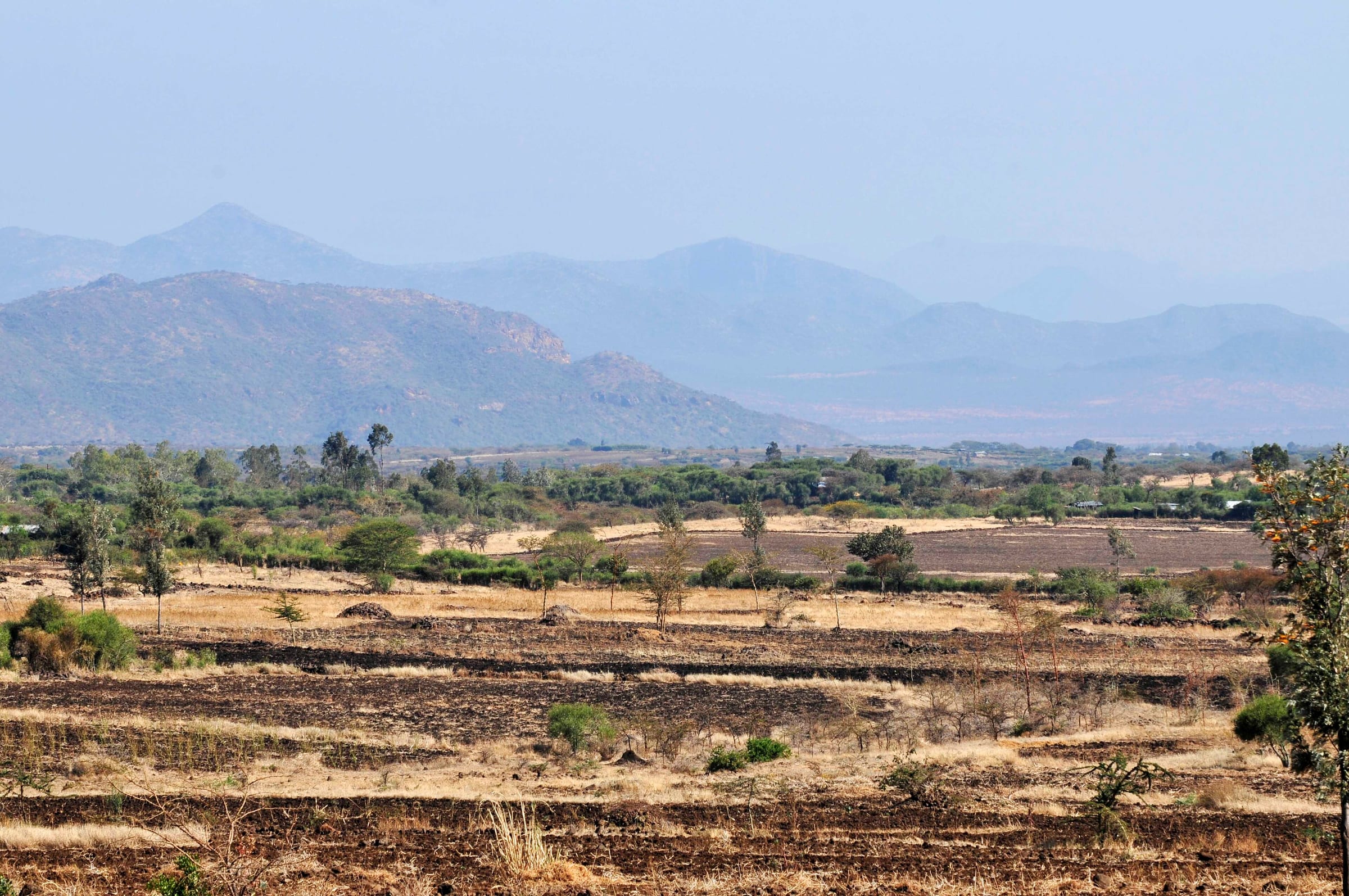 Mount Kenya, Central Highlands